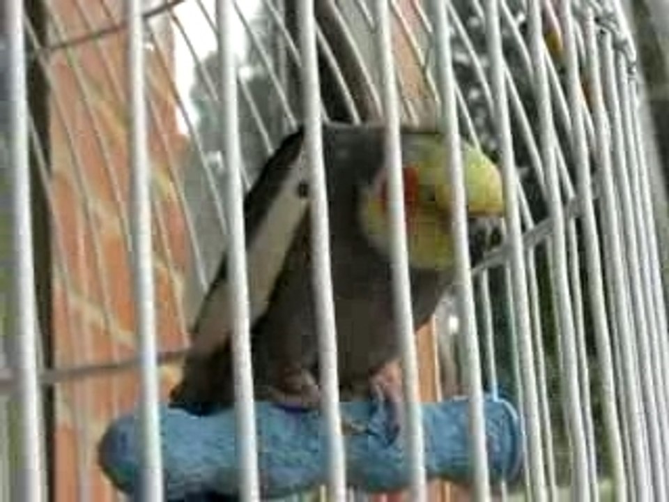Filmacion paco 004