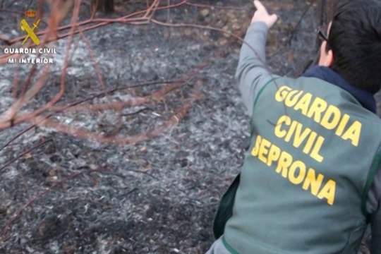 Seprona presenta el balance de actuaciones de 2015