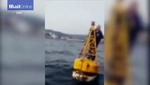 Lucky fisherman survived capsized boat by standing on a buoy   Daily Mail Online