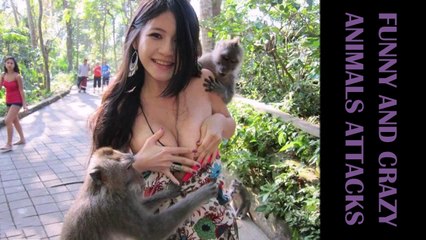 When Aggressive Animal Freaky Attacks on People