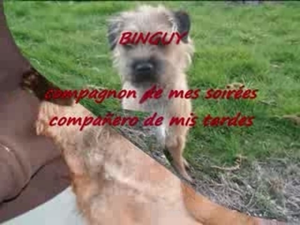 DJANGO raconte..DJANGO cuenta
