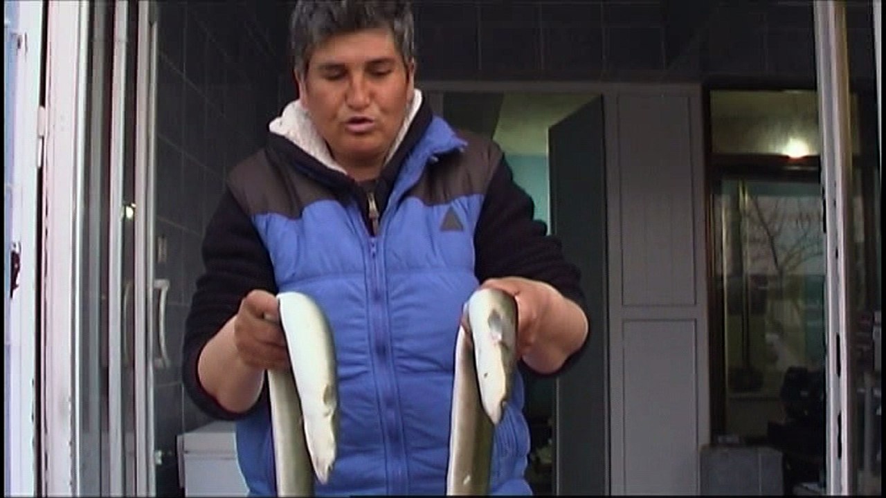 ENEZ YILAN BALIĞI HER DERDE DEVA.....