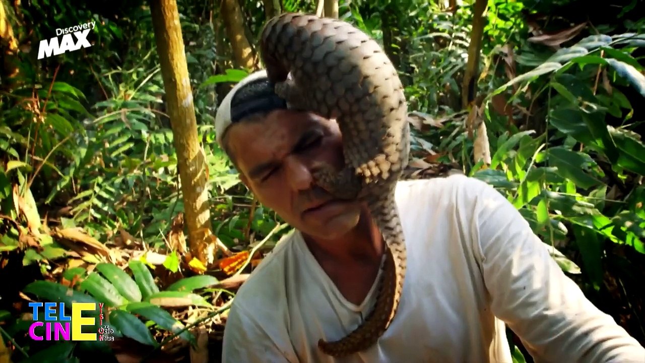 Wild Frank