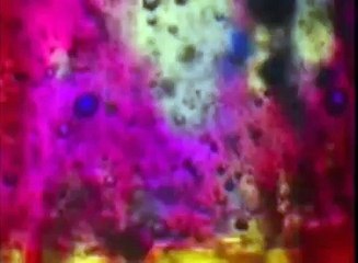 Cuatro Elementos: Agua, Tierra, Aire y Fuego