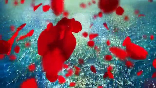 2014 KUTLU DOĞUM SİNEVİZYON