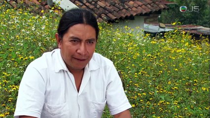 (2016)瑪雅古文明(MAYA-Behind The Myth) 02-Looking for Maize Civilization II