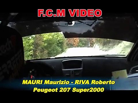 CameraCar Rally Team 971 2010 Mauri-Riva Peugeot 207 S2000