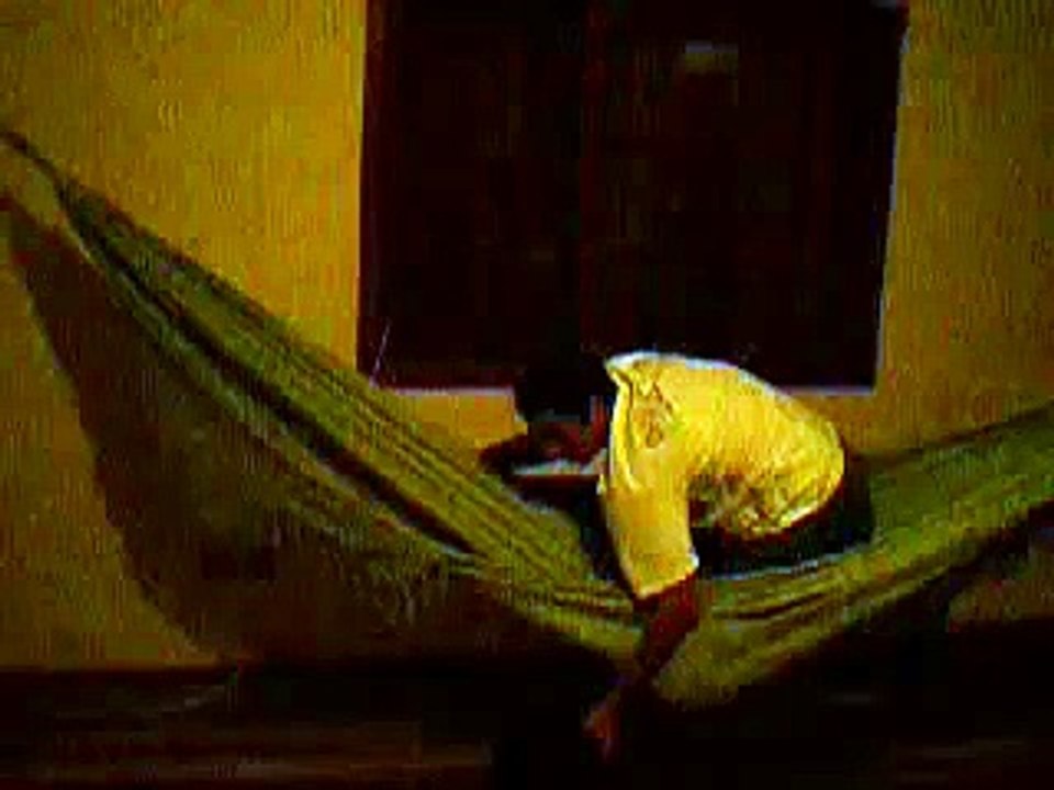 Mais uma do Ninho