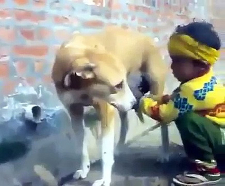 Funny Cute Babies Video 2016