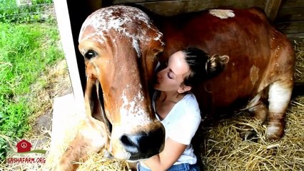 Snuggling a 1,500 pound Basset Hound - Gary Yourofsky