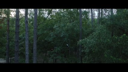 Hush (2016) English Movie Official Theatrical Trailer[HD] - John Gallagher Jr., Kate Siegel, Michael Trucco | Hush Trailer