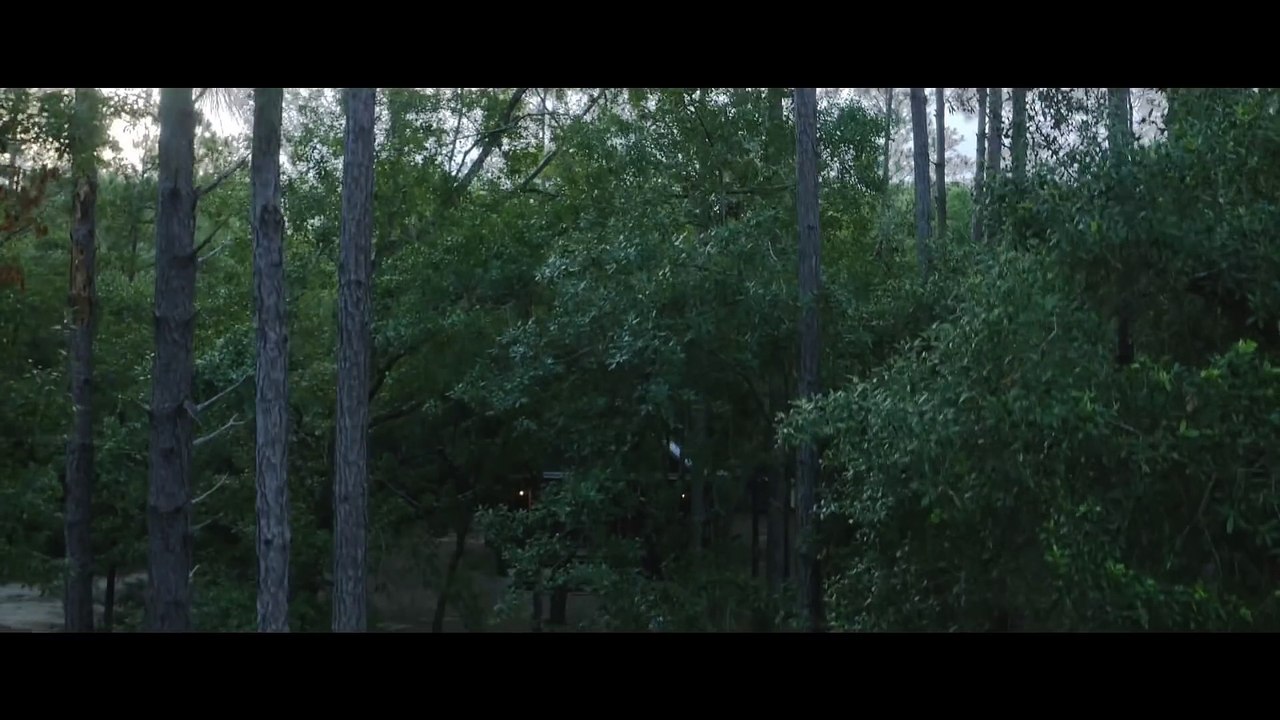 Hush (2016) English Movie Official Theatrical Trailer[HD] - John Gallagher Jr., Kate Siegel, Michael Trucco | Hush Trailer