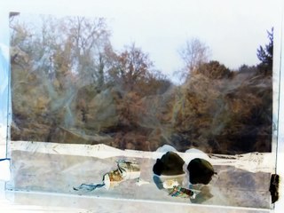 Some Tests (Term 1 RCA)