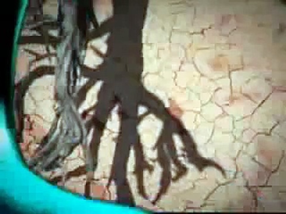 2010 KUTLU DOĞUM SİNEVİZYON