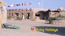 Red Sea Diving Safari - Marsa Shagra **