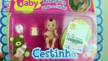 Petit Baby Cestinha Bebês para Amar e Brincar Brinquedo em Português ToyToysBrasil