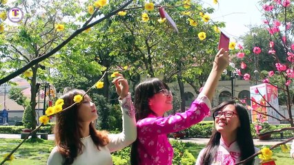 MV Tết Bính Thân 2016: Liên khúc "Hoa cỏ mùa xuân" và "Khúc xuân"