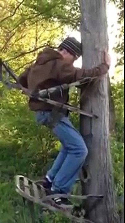 Falling Tree stand