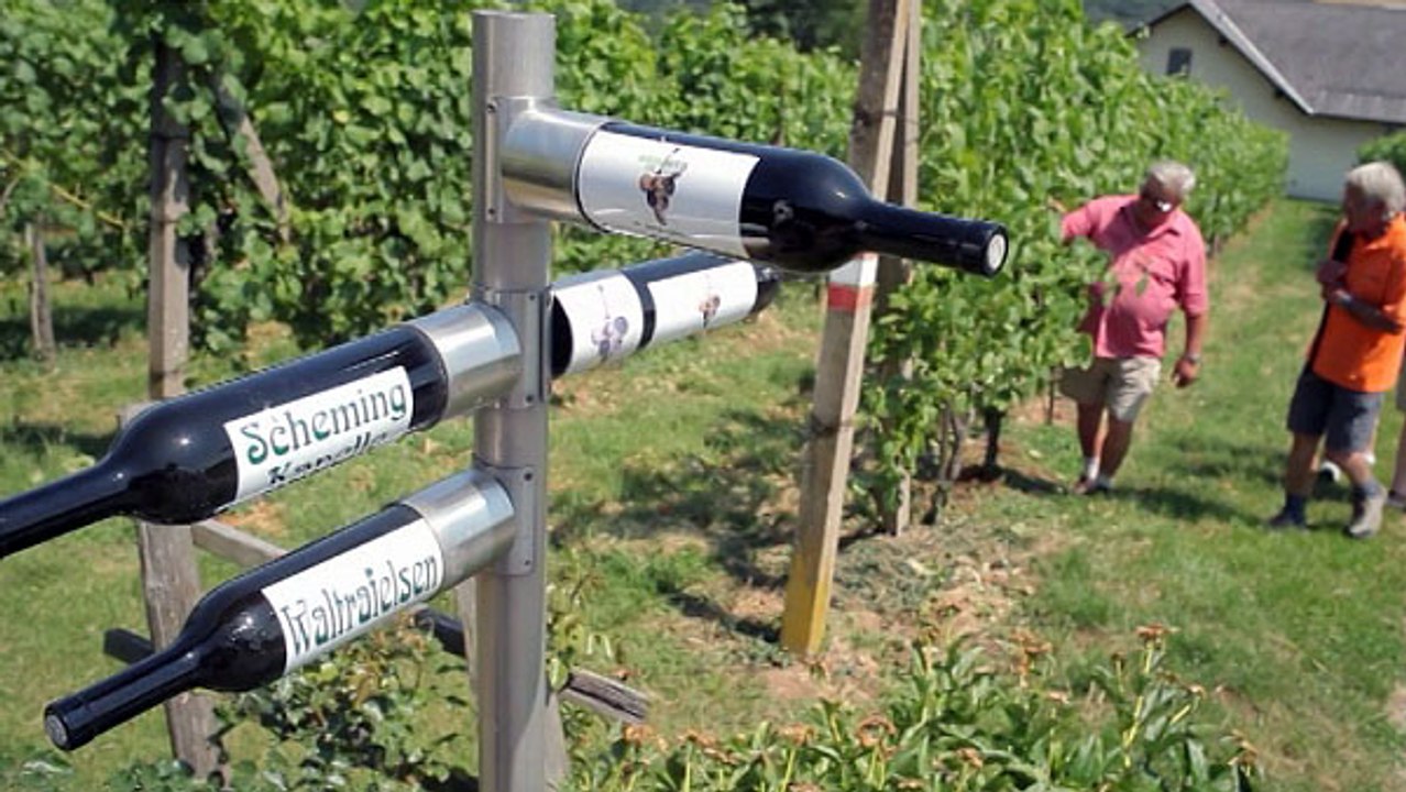 Steiermark Teil 1: Wein