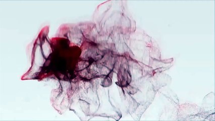 Resident Evil HD Remaster - "Black Tiger" - Boss Fight {Full 1080p, 60 FPS}