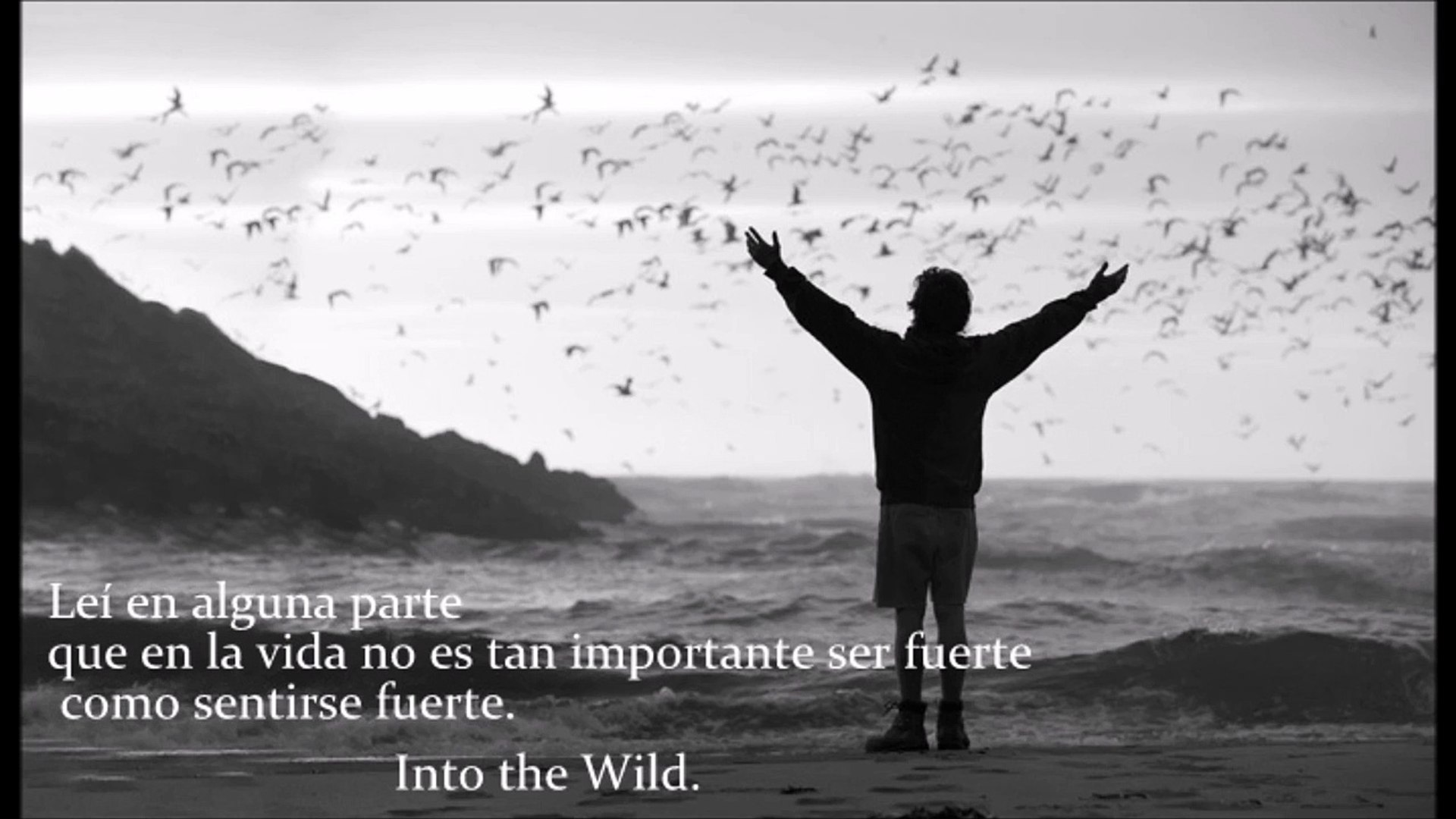 Into The Wild Rise Eddie Vedder