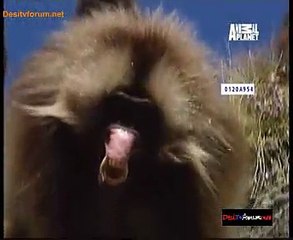 Be The Creature 12th January 2015 Video Watch Online pt1