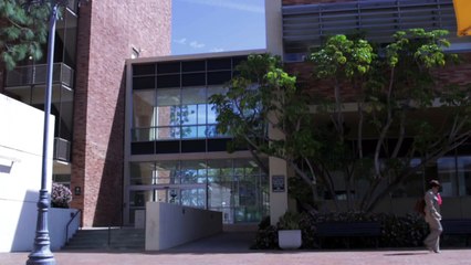 I Cut My Sleep To 5 Hours Using This Weird Method