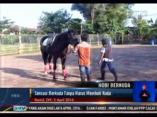 Sensasi Berkuda di Pedesaan Bantul