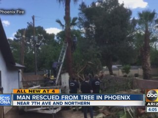 Off-duty firefighter credited with saving trapped tree trimmer