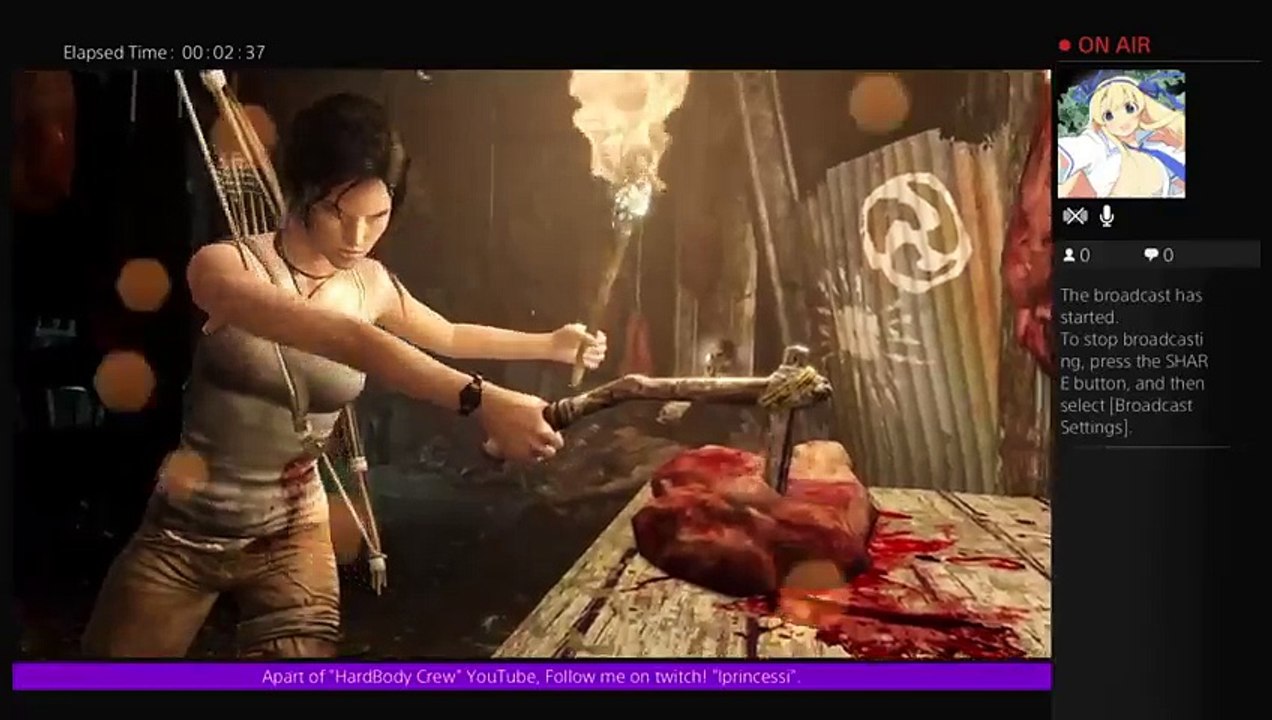 Tomb Raider Trophy's