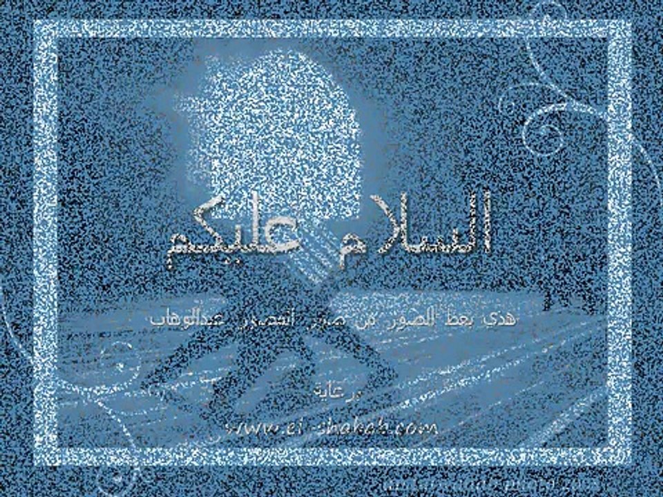 من تصوير المصور الفوتي غرافي عبدالوهاب.wmv