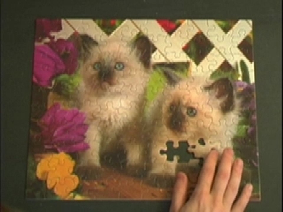 Puzzle