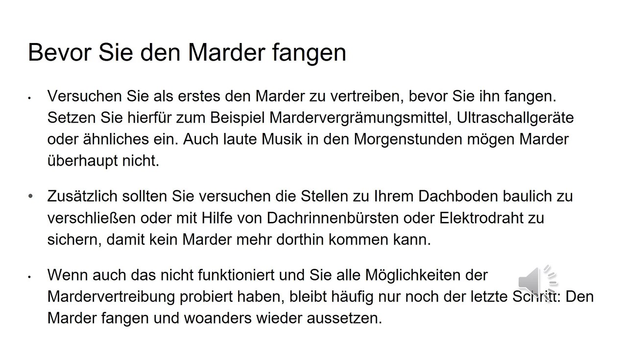 Marder fangen
