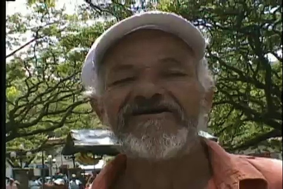 Hernan, miel de abeja