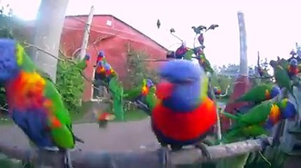 VID-20160330-WA0007
