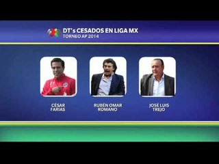 Los cesados del AP 2014