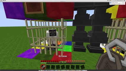 Minecraft: "Secret" Nametag Tutorial!!