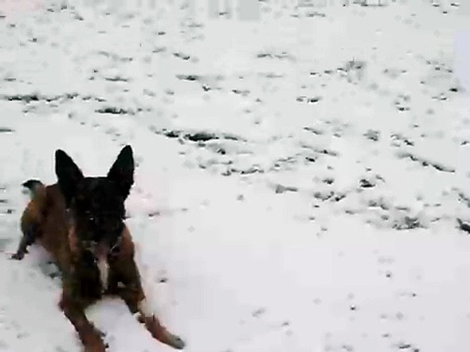 snowneo1