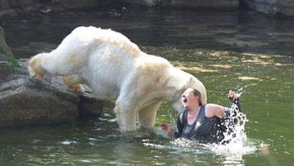 Wild Animals Gone Mad And Attacked on People