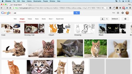 005 Working With Text Inputs  Buttons