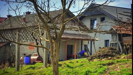 Кошки которые спасли жизнь #1