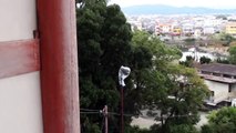 Ancient Shinto Shrine With an Amazing Ocean View, Wakayama, Japan