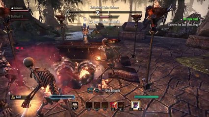 The Elder Scrolls Online: Забавный квест "награда скин скелета"