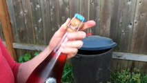 How to saber (sabre) a bottle of sparkling wine