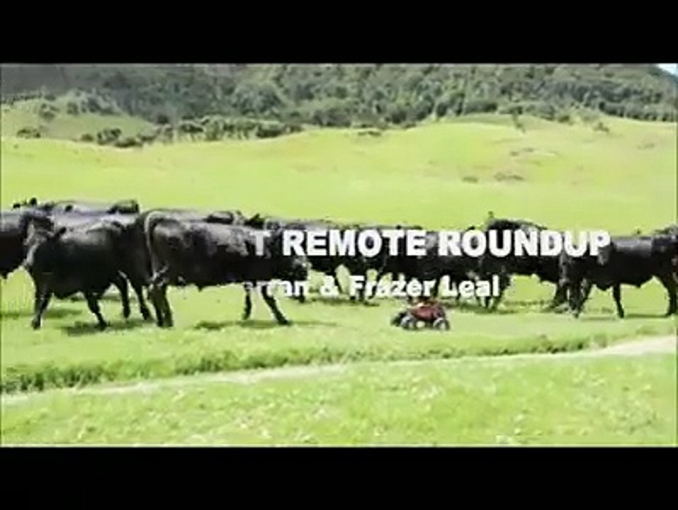 ലവ് ജിഹാദും ലീഗും