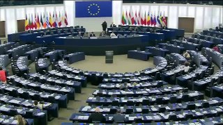 UKIP MEP Nathan Gill - The EU Will Incorporate Ukraine