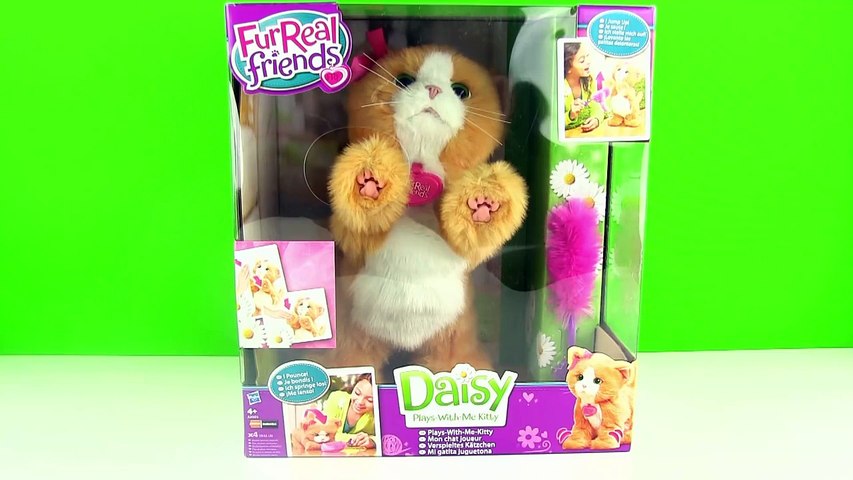 FurReal Friends Oyuncu Kedicik Daisy - Dailymotion Video