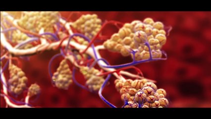 Details Of The Asthma Disease