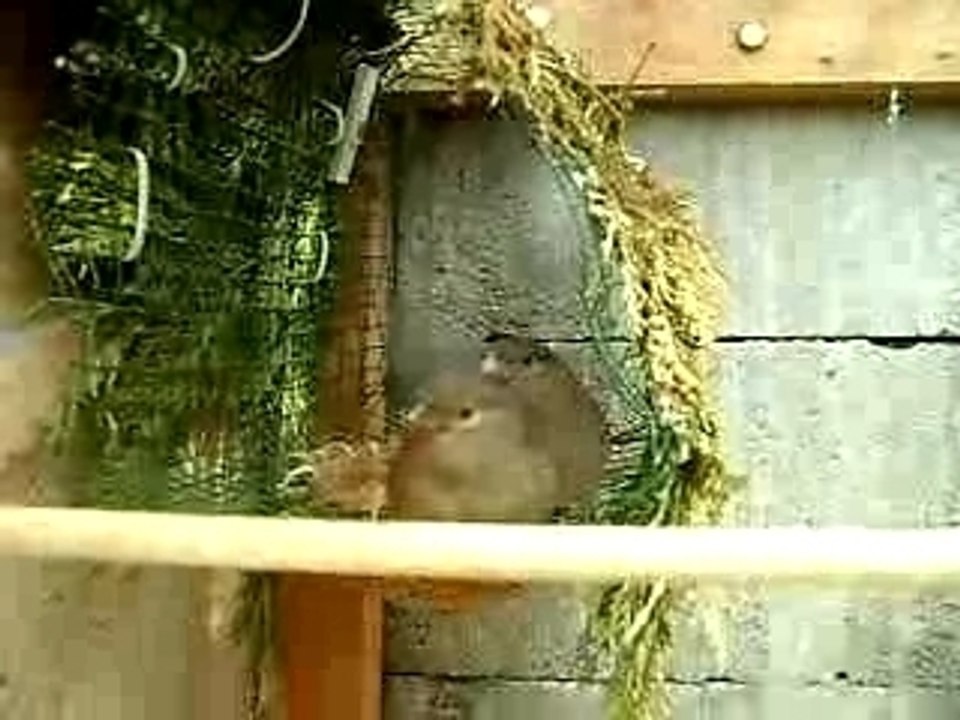 MOV00090