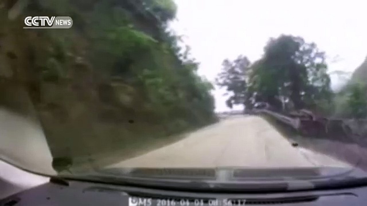Dashcam captures landslide in southern China